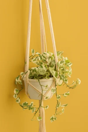 Wooden Dowel Pot Hanger