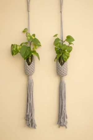 Weaver Bird’s Nest Hanger