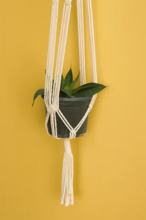 Wooden Dowel Pot Hanger