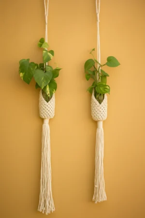 Weaver Bird’s Nest Hanger