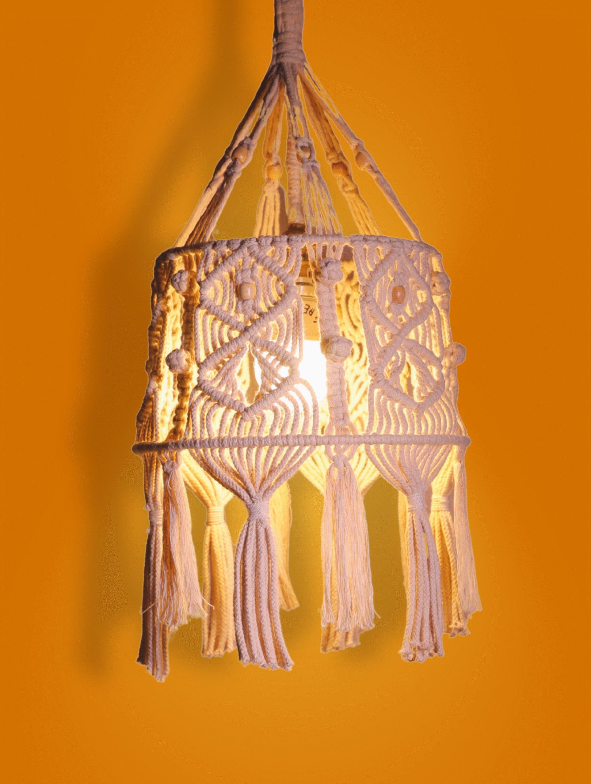 Untitled design (31)