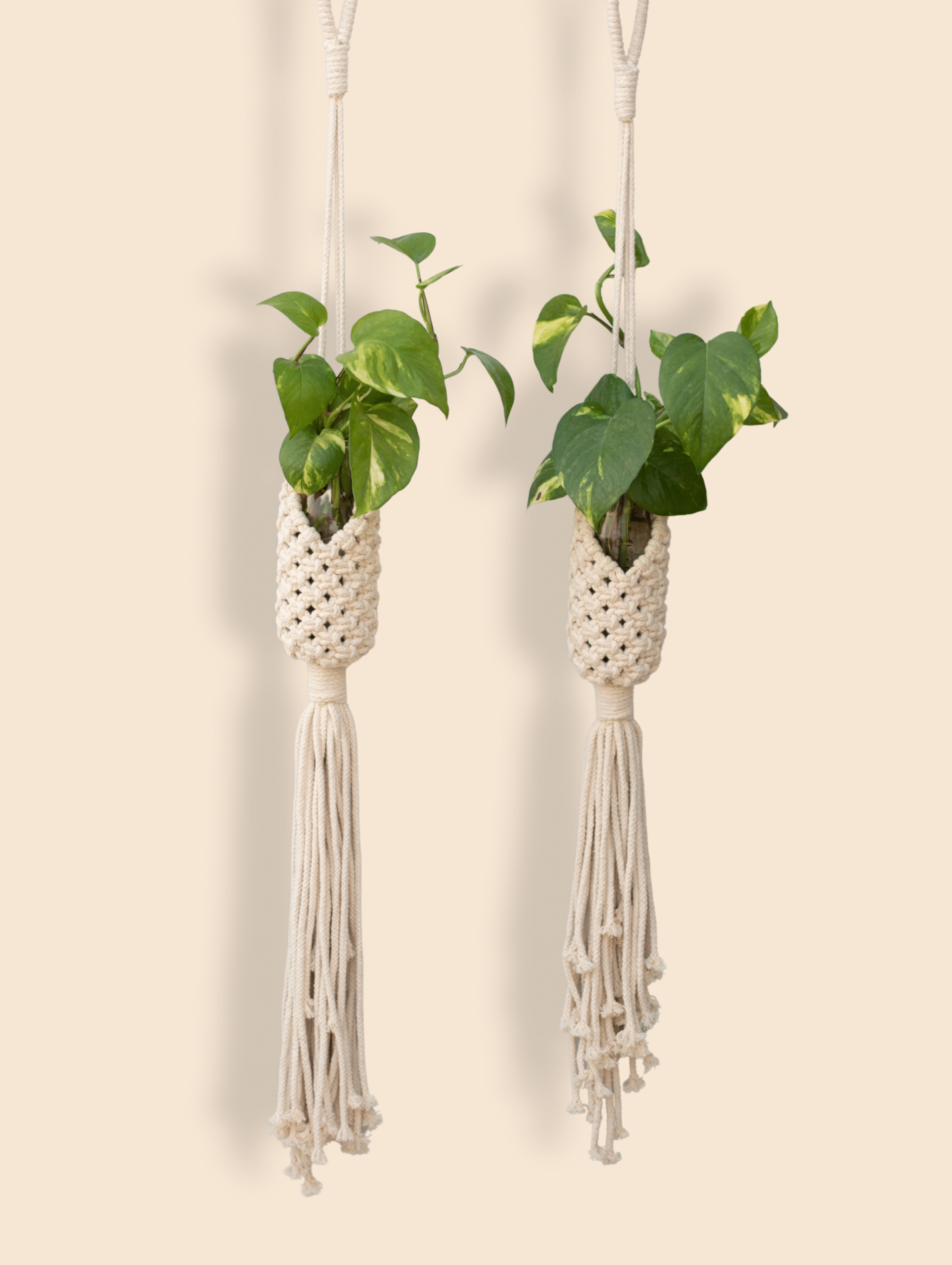 Untitled design (42)