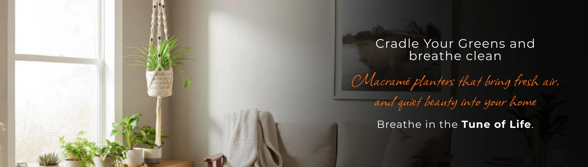 PlanterSliderBanner1